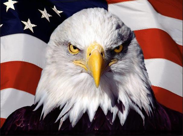 american-liberty