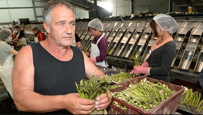 australian-farmers-cant-compete-with-third-world-free-trade